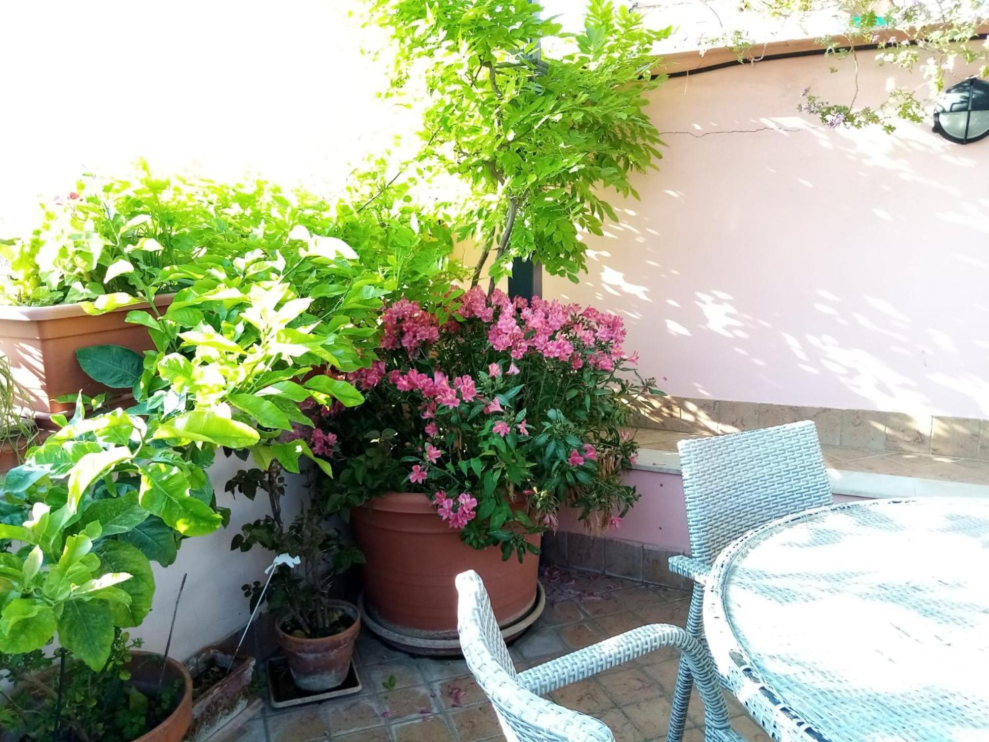 Il Nido Della Quaglia B&B - Jaba Mia House Lt Pozzuoli Bagian luar foto
