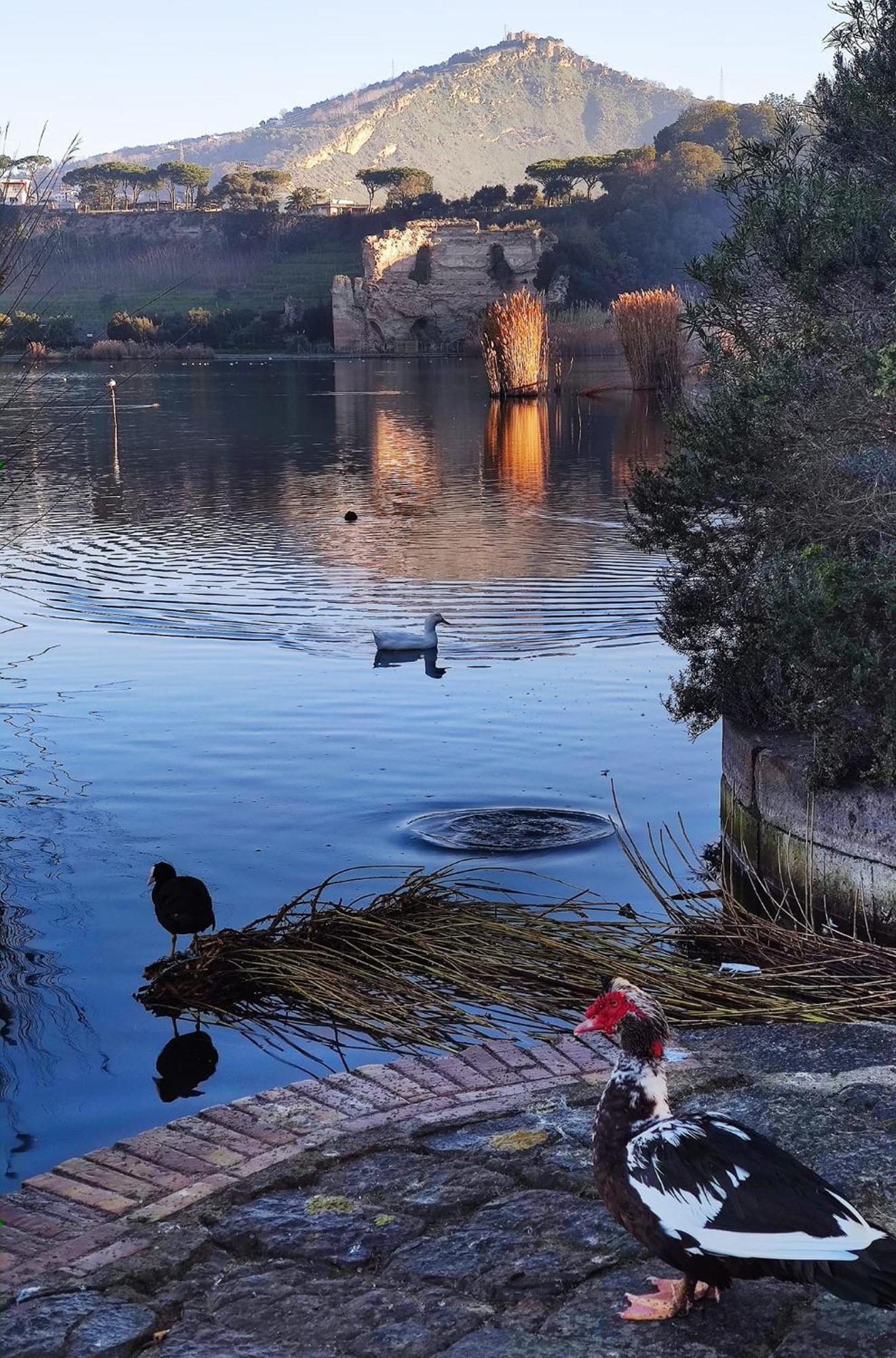 Il Nido Della Quaglia B&B - Jaba Mia House Lt Pozzuoli Bagian luar foto