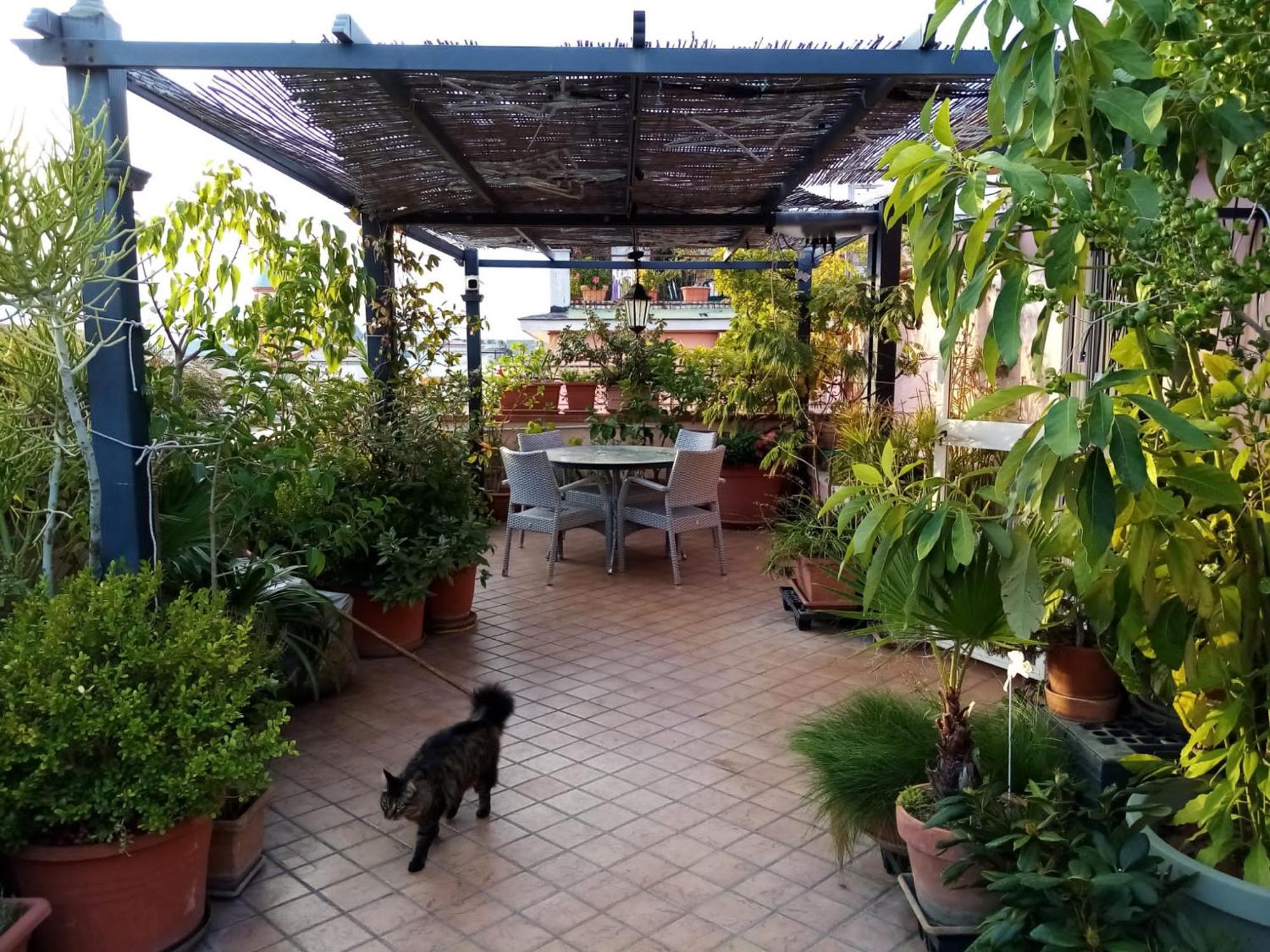 Il Nido Della Quaglia B&B - Jaba Mia House Lt Pozzuoli Bagian luar foto